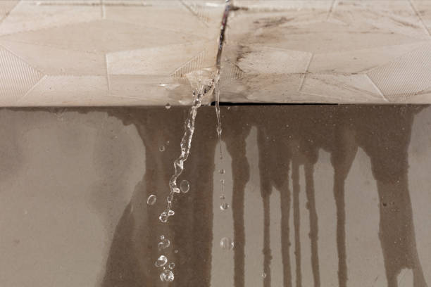 Professional Sewage Cleanup technician working in Wilson, LA